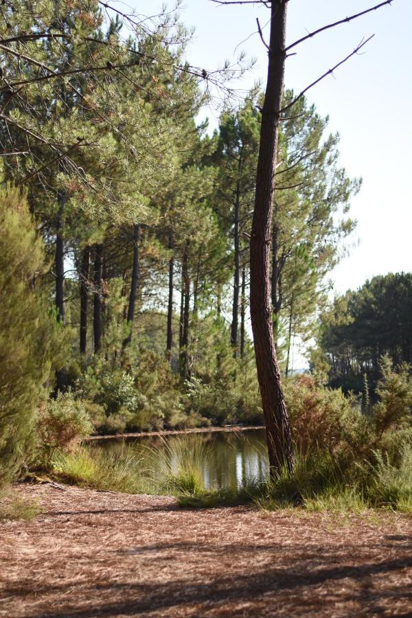 La Cachette Du Lac Lacanau Zewnętrze zdjęcie